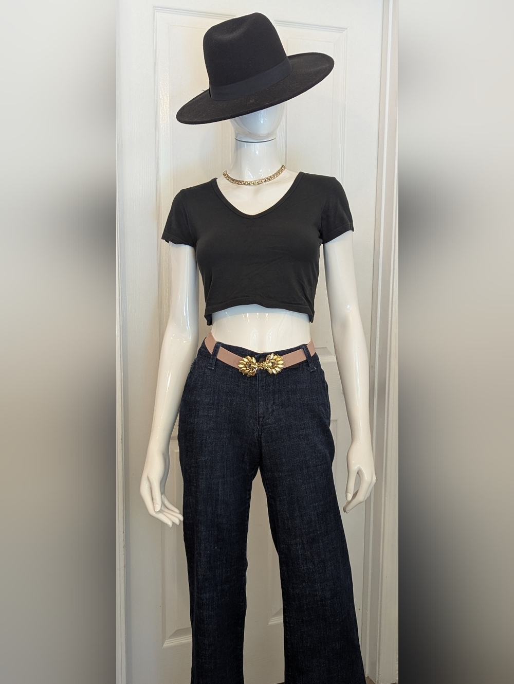 Pacsun John Galt Black V-Neck Crop Tee